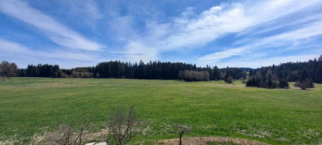 Apartman V Jame Černá v Pošumaví Extérieur photo
